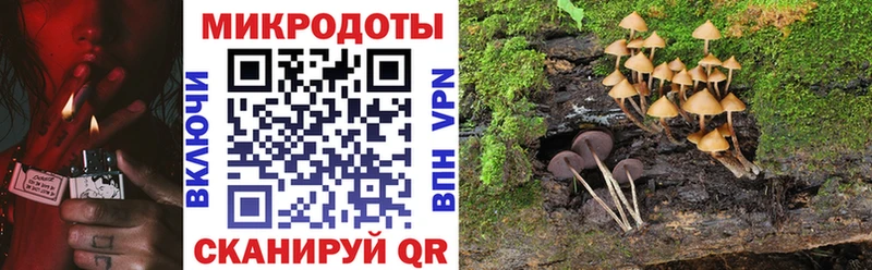 Галлюциногенные грибы ЛСД Трубчевск
